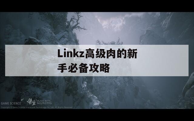 Linkz高级肉的新手必备攻略