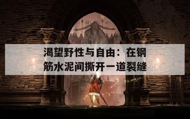 渴望野性与自由：在钢筋水泥间撕开一道裂缝
