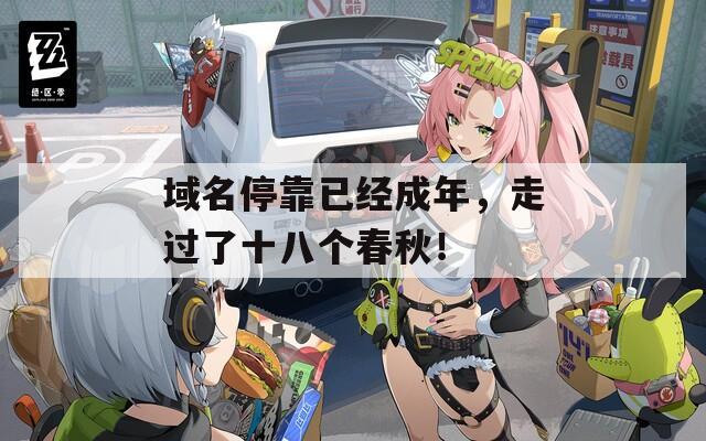 域名停靠已经成年，走过了十八个春秋！
