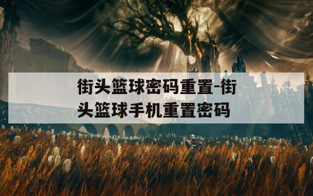 街头篮球密码重置-街头篮球手机重置密码