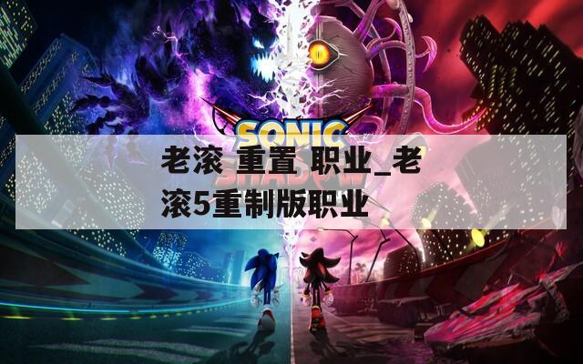 老滚 重置 职业_老滚5重制版职业