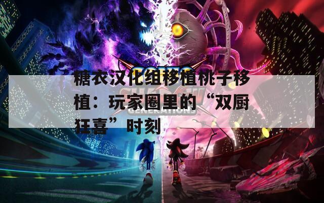 糖衣汉化组移植桃子移植：玩家圈里的“双厨狂喜”时刻
