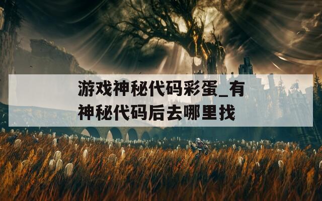 游戏神秘代码彩蛋_有神秘代码后去哪里找