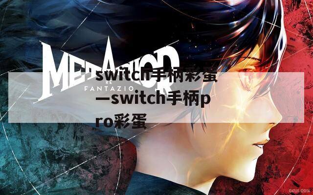 switch手柄彩蛋—switch手柄pro彩蛋