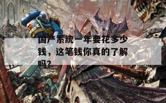 国产系统一年要花多少钱，这笔钱你真的了解吗？