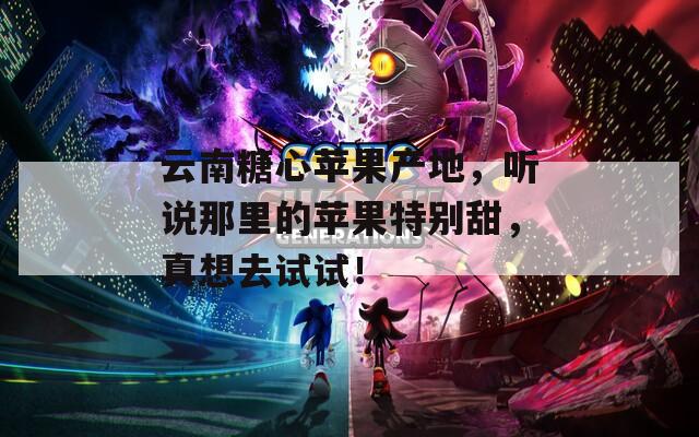 云南糖心苹果产地，听说那里的苹果特别甜，真想去试试！