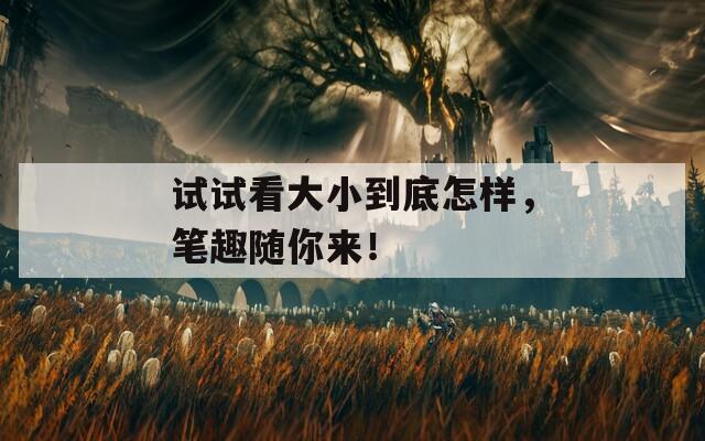 试试看大小到底怎样，笔趣随你来！