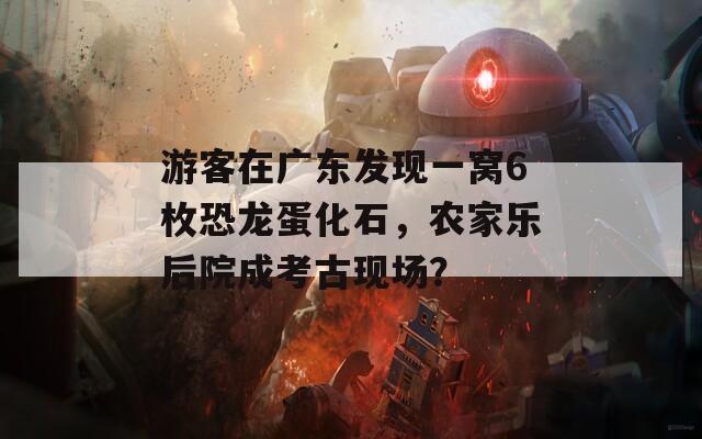 游客在广东发现一窝6枚恐龙蛋化石，农家乐后院成考古现场？